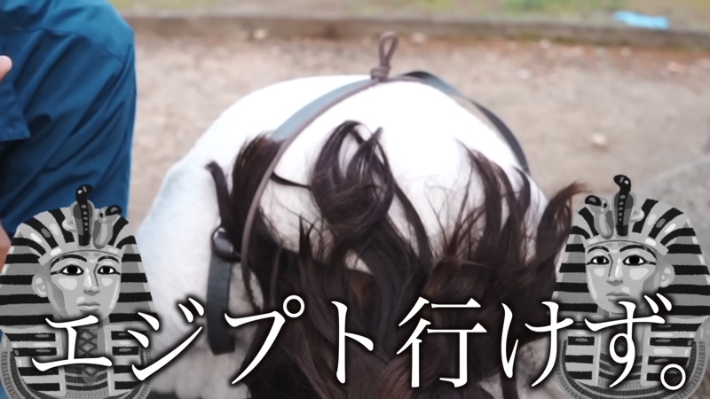 とったび、新婚旅行からの“帰国”報告の画像