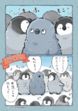 【漫画】1羽だけ羽毛が違うペンギンの画像