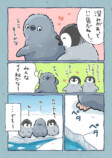 【漫画】1羽だけ羽毛が違うペンギンの画像