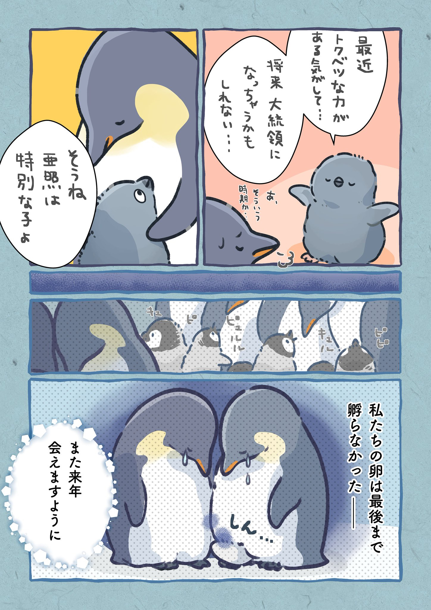 【漫画】1羽だけ羽毛が違うペンギンの画像