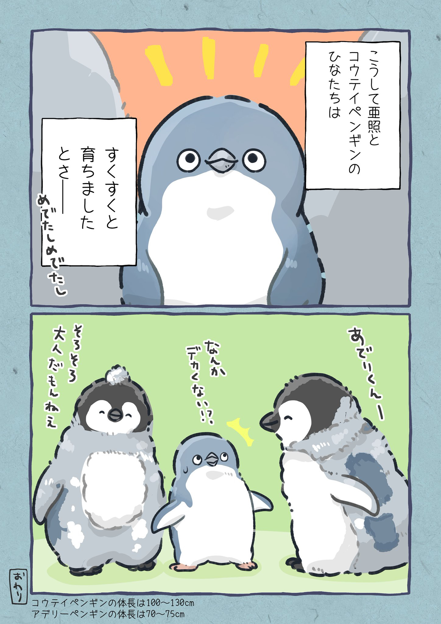 【漫画】1羽だけ羽毛が違うペンギンの画像
