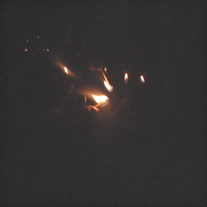 『whosgonnafeedyou LikeThis』