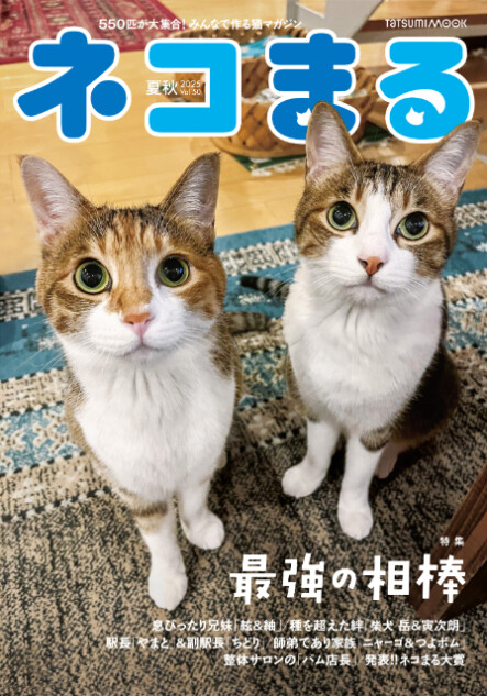 ねこたちの「最強の相棒」『ネコまる』夏秋号