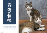 ねこたちの「最強の相棒」『ネコまる』夏秋号の画像