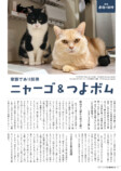 ねこたちの「最強の相棒」『ネコまる』夏秋号の画像