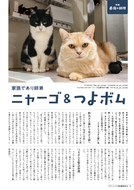 ねこたちの「最強の相棒」『ネコまる』夏秋号の画像