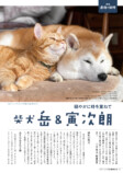ねこたちの「最強の相棒」『ネコまる』夏秋号の画像