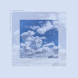 『a beautiful days』