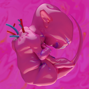 『ekkolaptómenos』