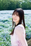 日向坂46・小坂菜緒がネモフィラ畑で微笑むの画像