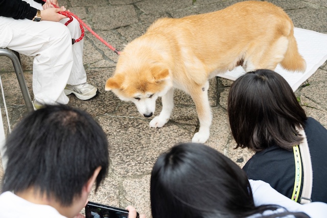 『室井慎次』×あきた美彩館、コラボイベントの画像