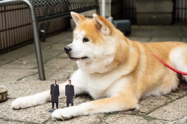 『室井慎次』×あきた美彩館、コラボイベントの画像