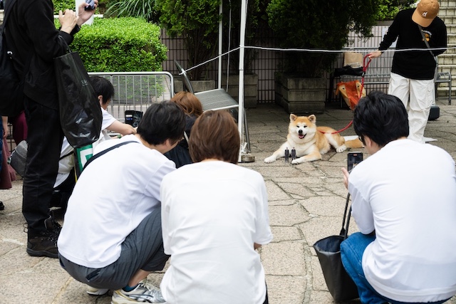 『室井慎次』×あきた美彩館、コラボイベントの画像