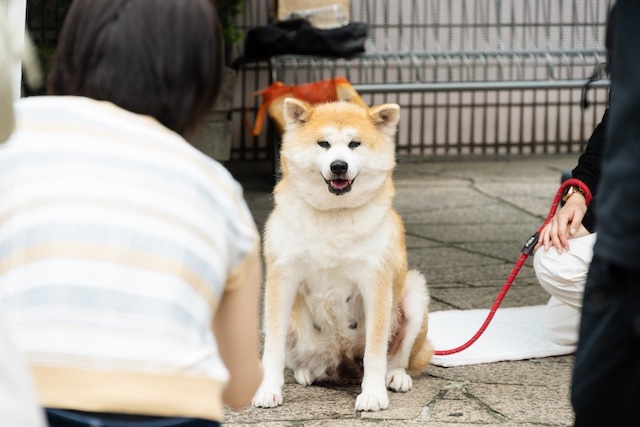 『室井慎次』×あきた美彩館、コラボイベントの画像