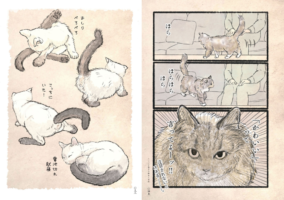 うぐいす歌子『うぐいす歌子の御ねこ日記』の画像