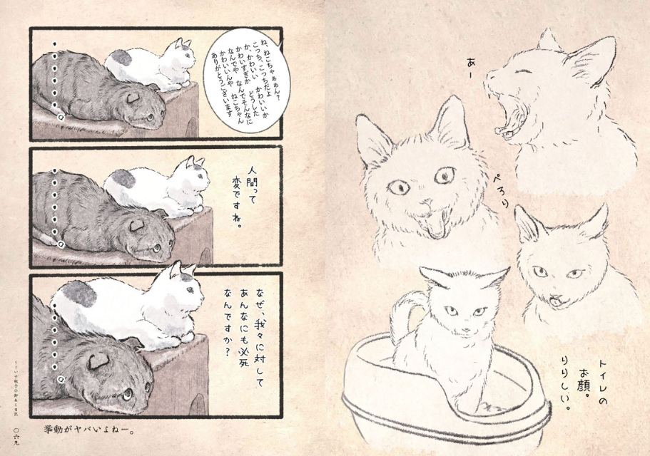 うぐいす歌子『うぐいす歌子の御ねこ日記』の画像