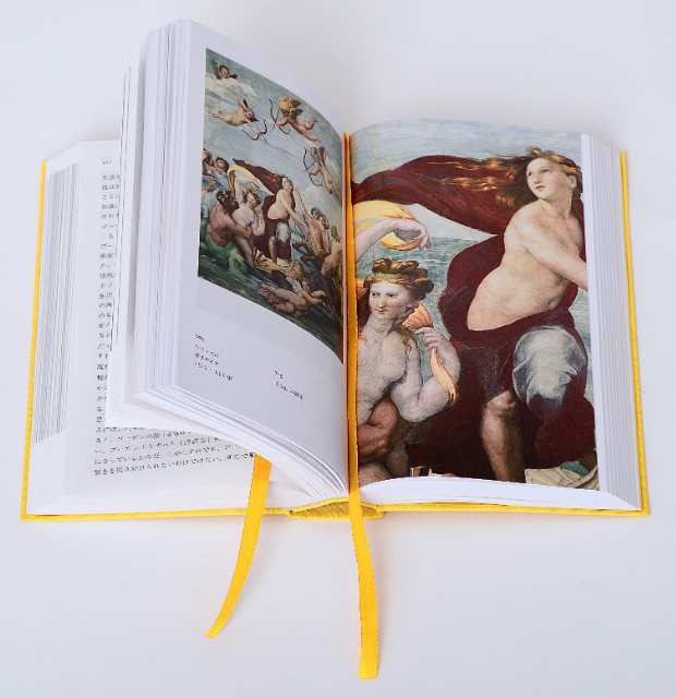 世界一読まれている美術本『美術の物語 ポケット版』の画像