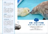 人気アザラシが多数掲載「アザラシBOOK」が6月発売　専門家へのインタビューも掲載の画像