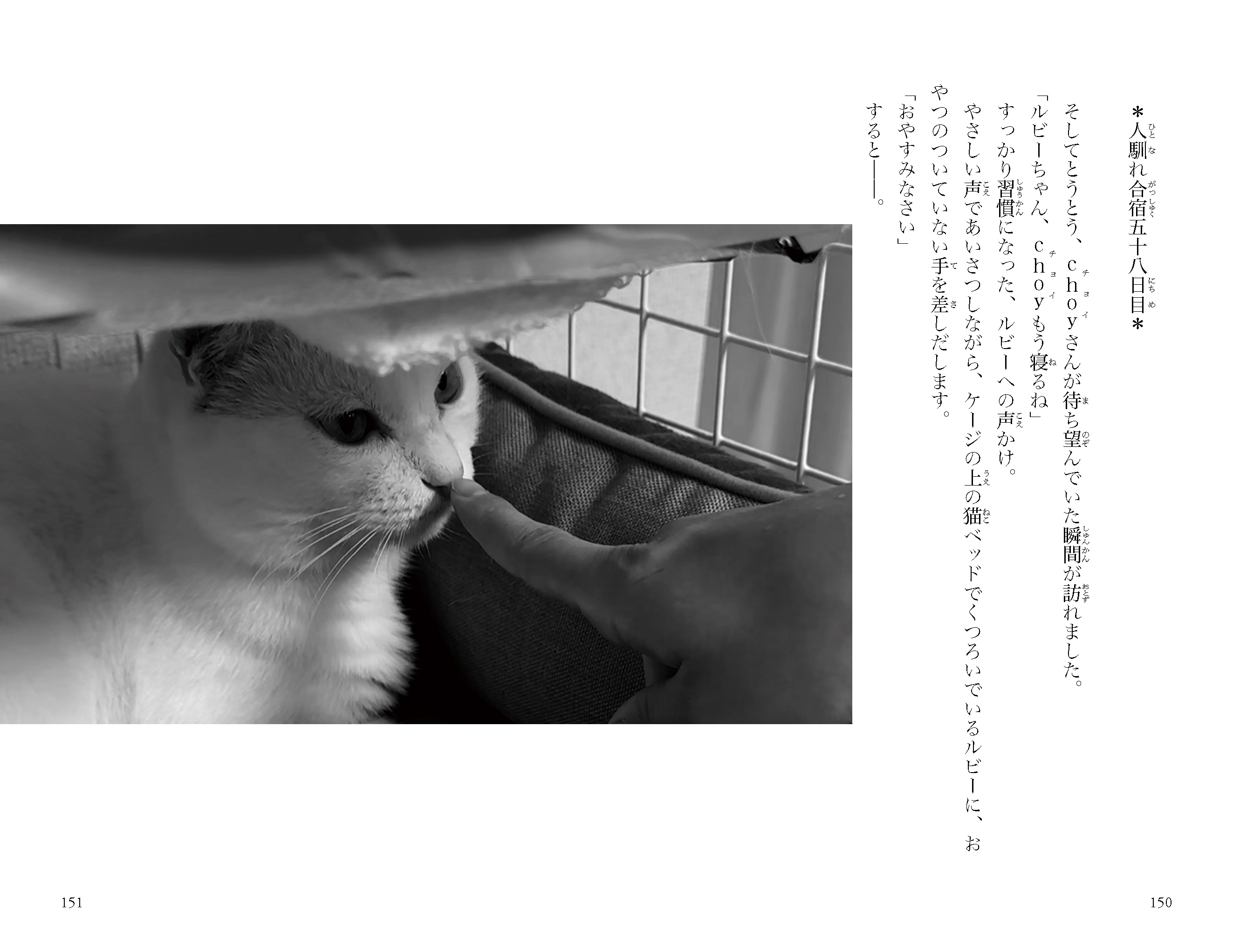 「坂上どうぶつ王国」小説になって登場の画像