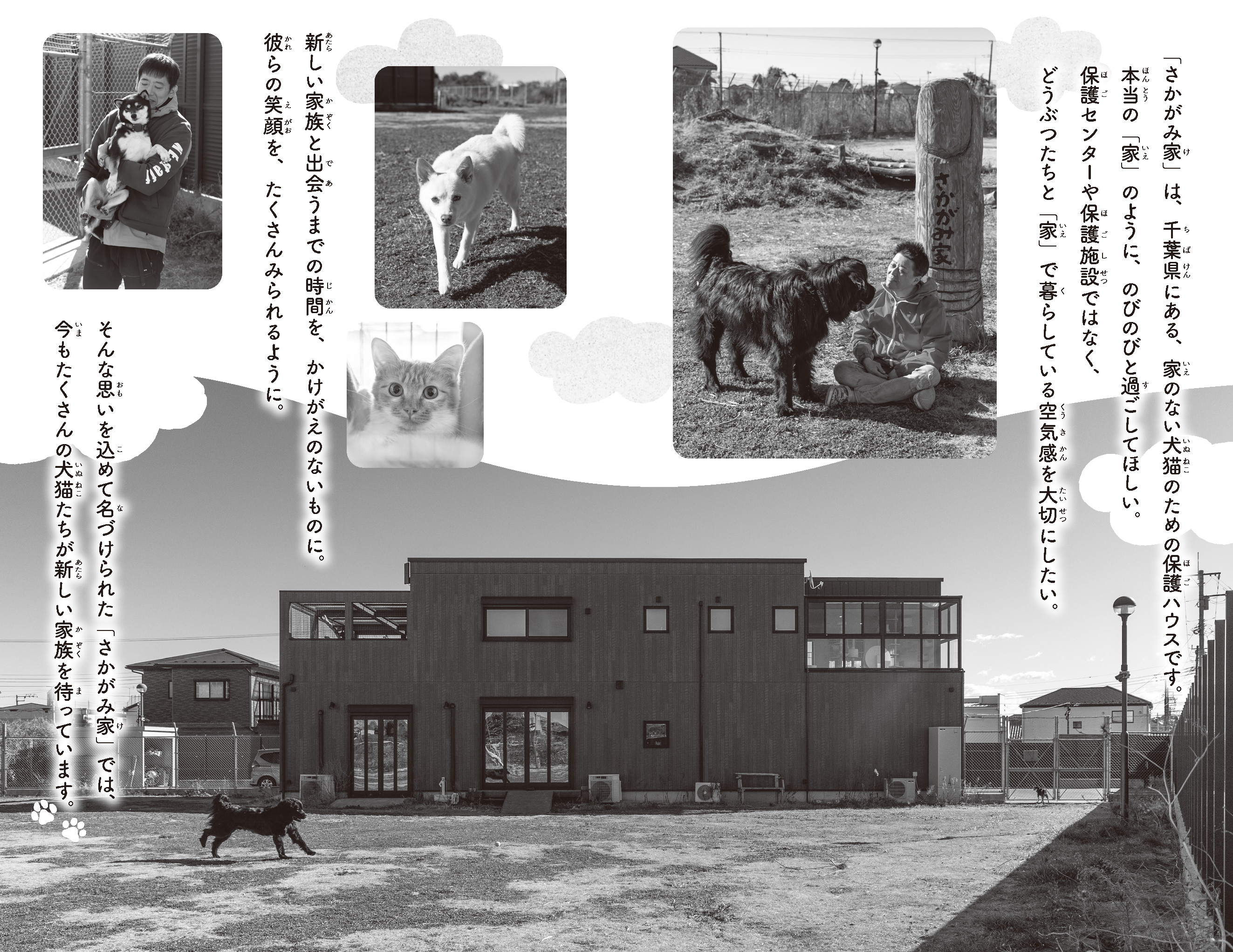 「坂上どうぶつ王国」小説になって登場の画像