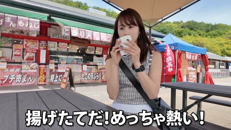 あま猫、山口～東京間2000kmを3日かけ自走の画像