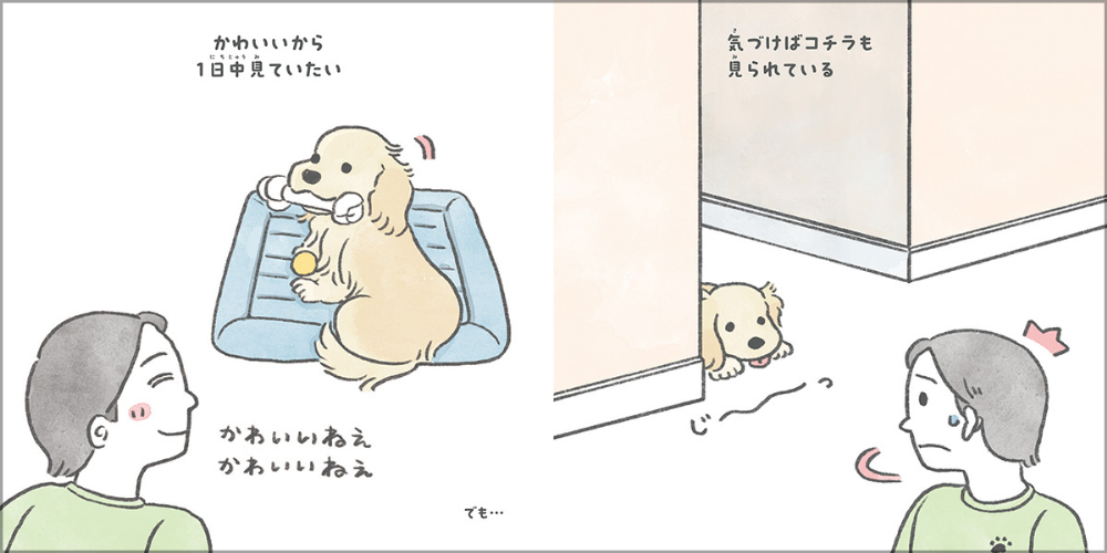 イラストレーター・じゅん『毎日がいぬの日』の画像