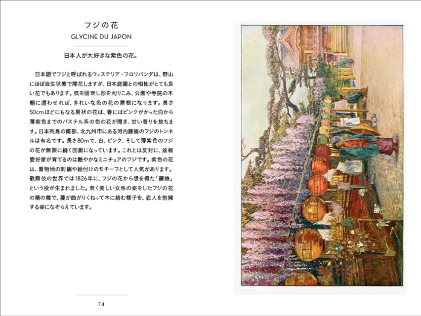 『ちいさな手のひら事典 魅惑の国ジャパン』の画像