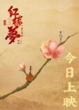 『紅楼夢』中国版ポスター＆新場面写真の画像