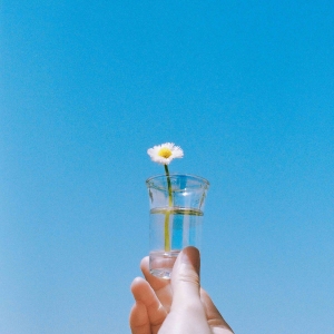 Lavt「デイジー」ジャケット写真