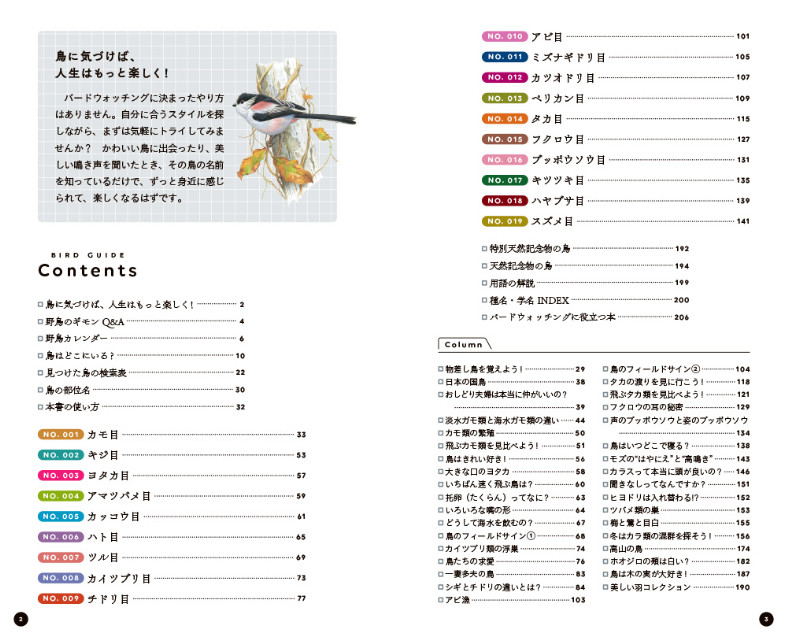 『野鳥手帳　「あの鳥なに？」がわかります！』の画像