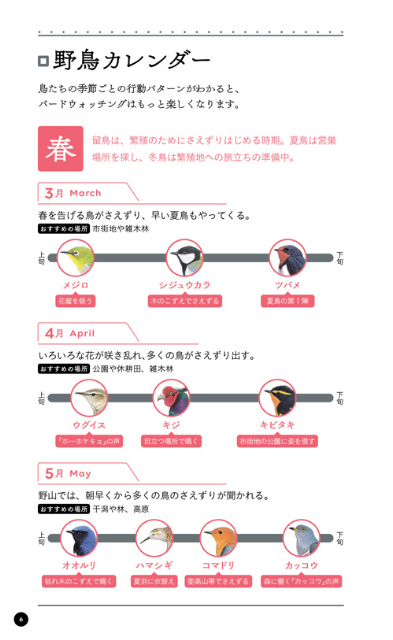『野鳥手帳　「あの鳥なに？」がわかります！』の画像