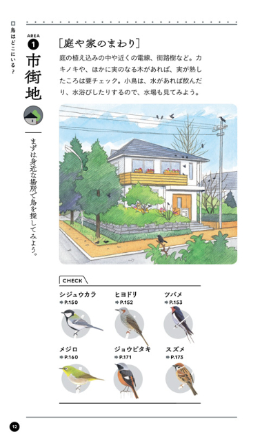 『野鳥手帳　「あの鳥なに？」がわかります！』の画像