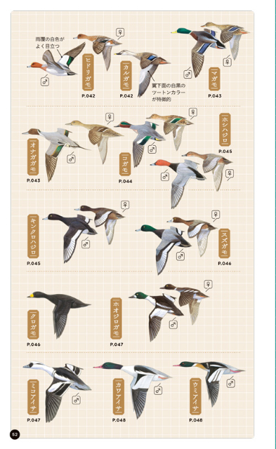 『野鳥手帳　「あの鳥なに？」がわかります！』の画像