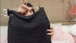 関根りさ、ユニクロ＆GUのおすすめ商品を紹介の画像