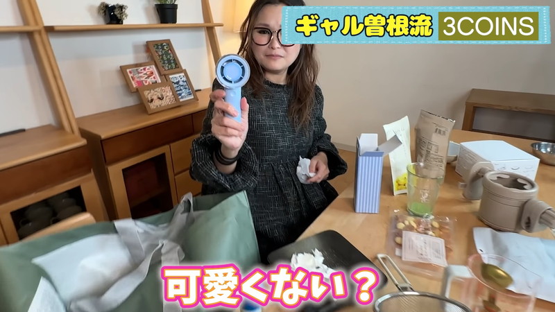 ギャル曽根、「3COINS」での購入品を紹介の画像