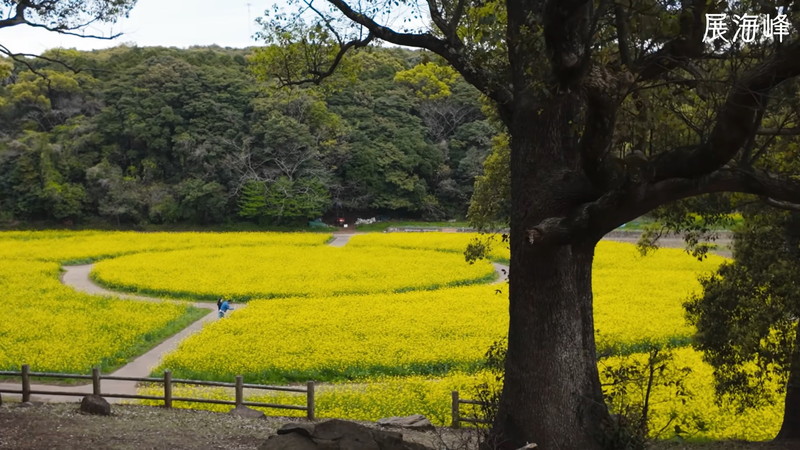 こつぶちゃんねる、ハイエース車中泊を満喫の画像