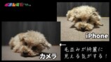 久野アナ、40万円の高級カメラを紹介の画像