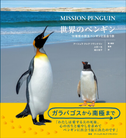 世界中に生息する種類を網羅『世界のペンギン』