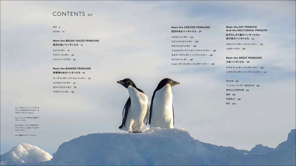 世界中に生息する種類を網羅『世界のペンギン』の画像