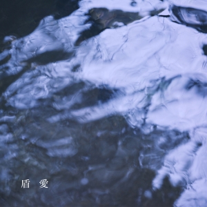 れん「盾愛」ジャケット写真