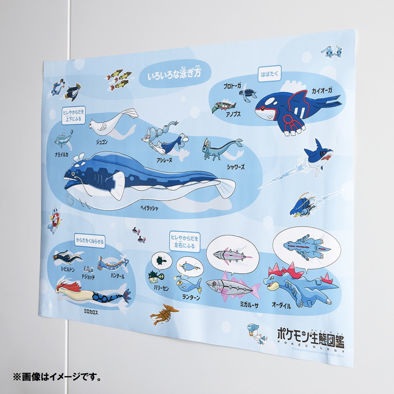 「ポケモン生態図鑑」テーマのグッズが登場の画像