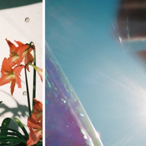 シャイトープ「僕のそばに」ジャケット写真