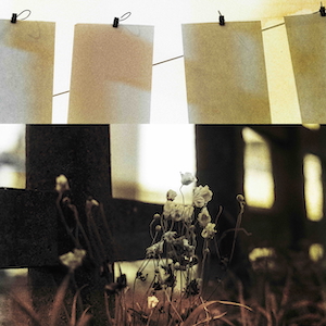 「秋明菊 – Reproduced 2025」ジャケット