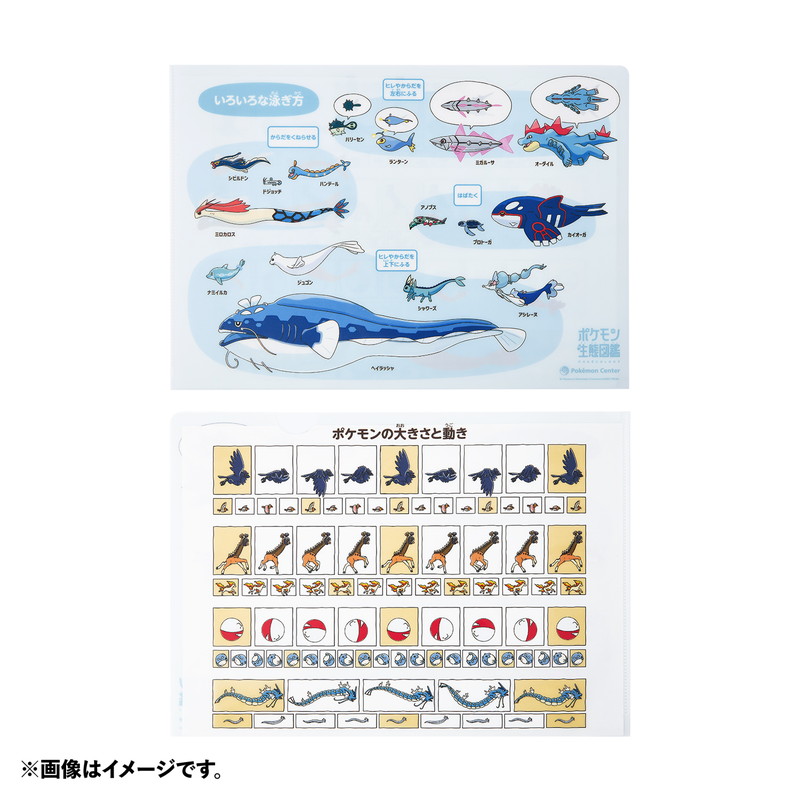 「ポケモン生態図鑑」テーマのグッズが登場の画像