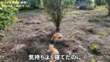 いけちゃん、水着姿でサウナを満喫の画像