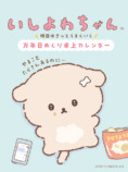 「いしよわちゃん」日めくりカレンダーが登場の画像