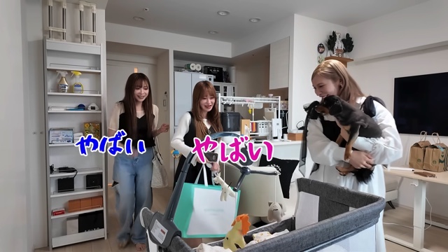 ヘラヘラ三銃士・ありしゃん、双子を出産の画像