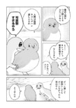 メジロとヤモリがしゃべくる『めじとやも』の画像