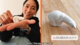 杏、北欧生活での“私物”を紹介の画像