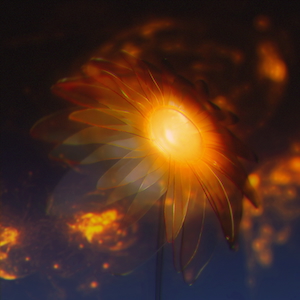 ｢向日葵花火（Prod. ☆Taku Takahashi）｣ 